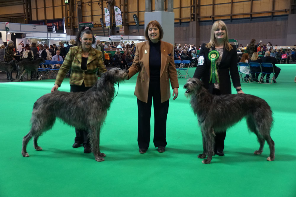 CC Winners Crufts 2017